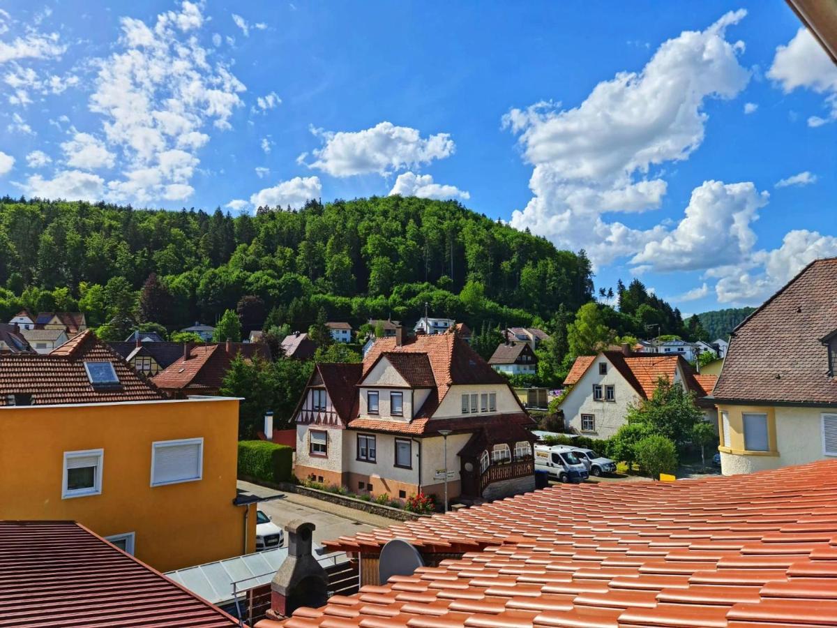 Pension Transilvania Immendingen Exteriör bild