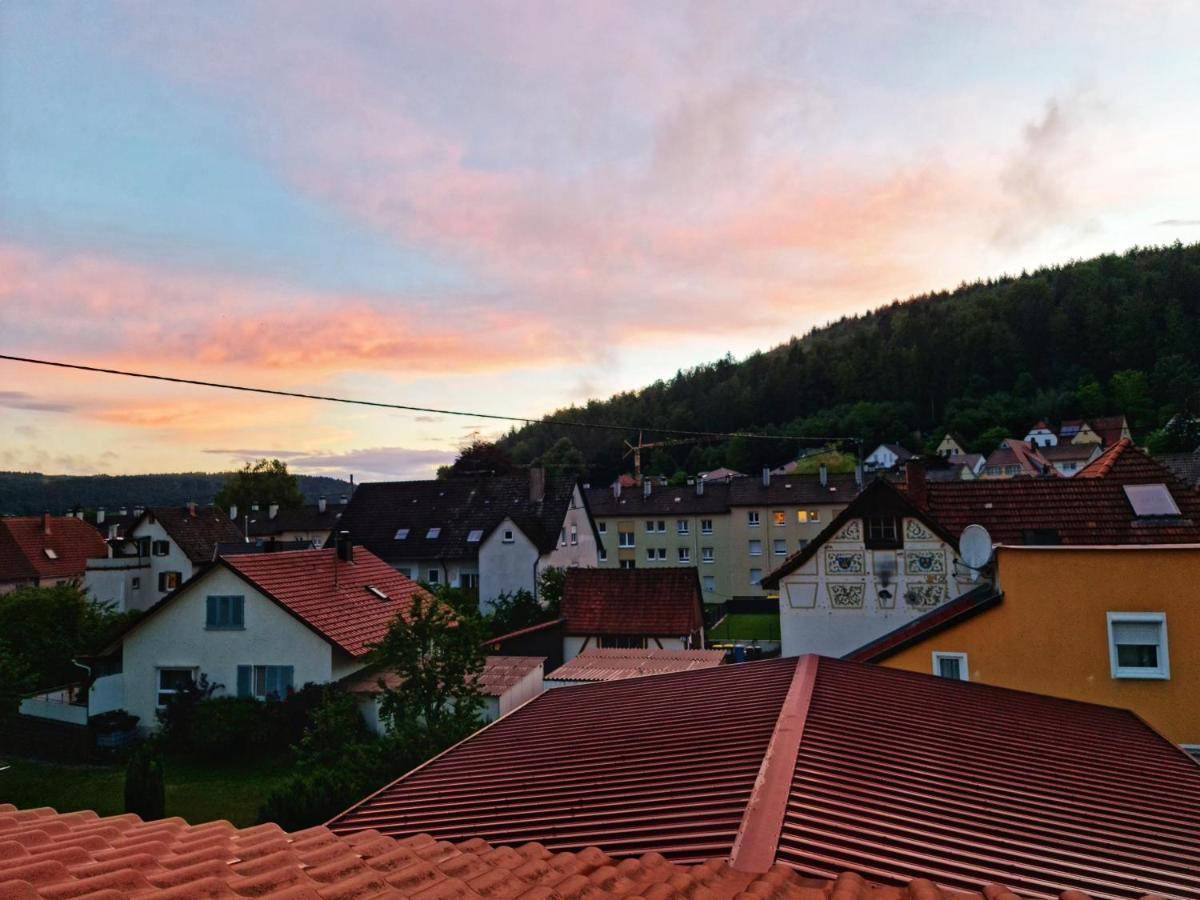 Pension Transilvania Immendingen Exteriör bild